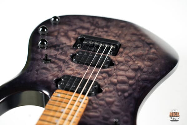 EBMM JP15 John Petrucci Signature - Image 27