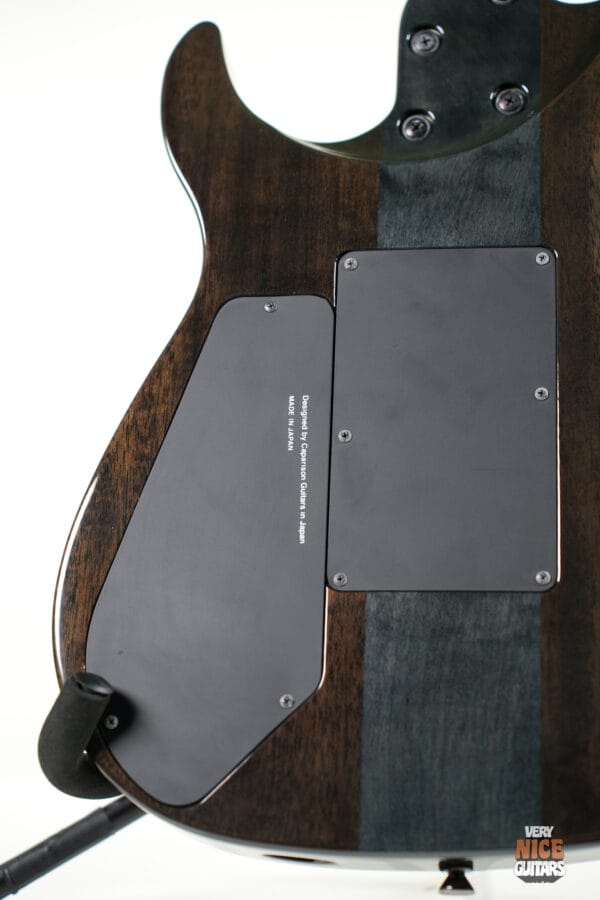 Caparison Horus CL10 MF - Image 19