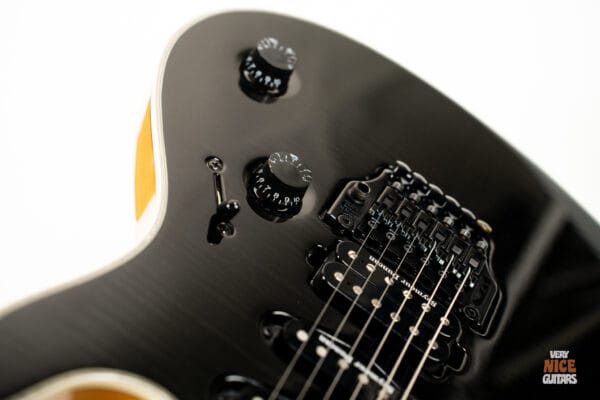 Mayones Regius 6 Pro - Image 12