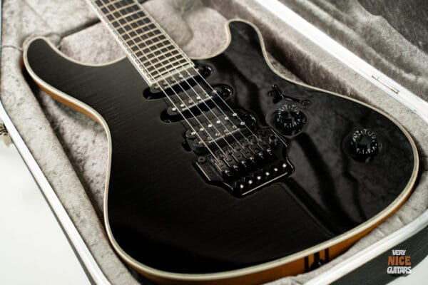 Mayones Regius 6 Pro - Image 19