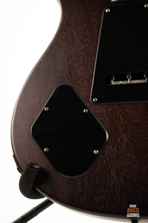 PRS DW CE24 “Floyd” Burnt Amber Smokeburst Dustie Waring Signature - Image 22