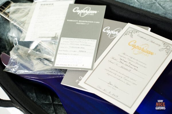 Caparison Dellinger Prominence Trans Spectrum Blue - Image 14