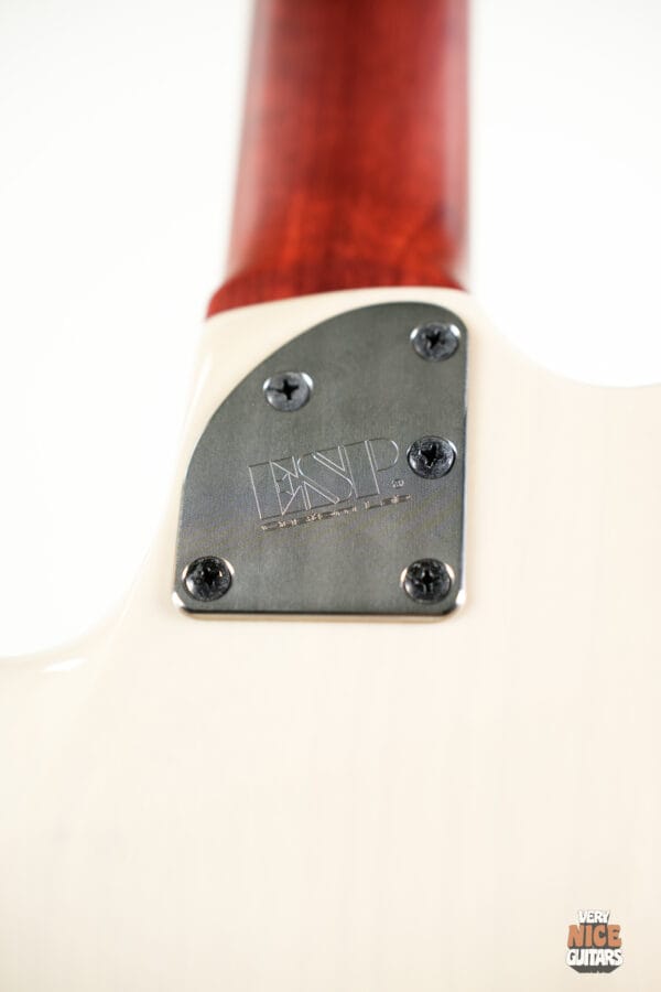 ESP Snapper Custom Order - Image 14