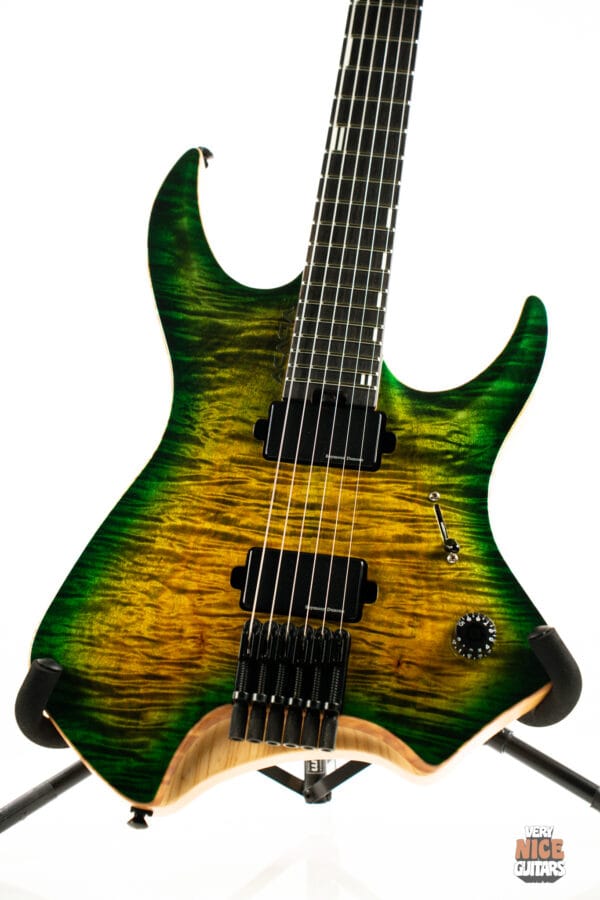 Acacia Medusa 6