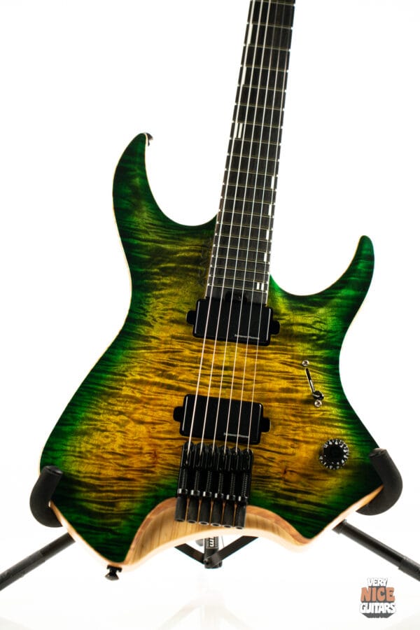 Acacia Medusa 6 - Image 4