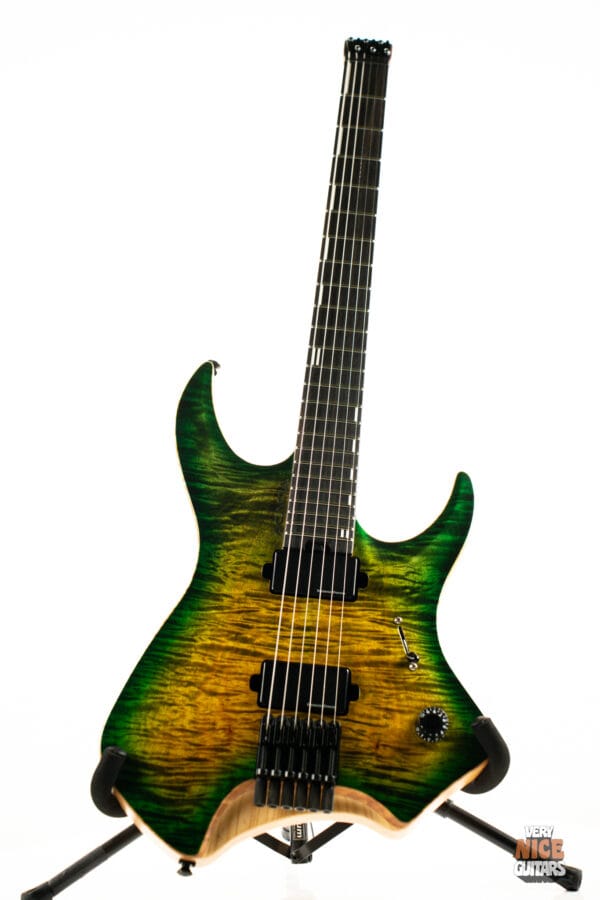 Acacia Medusa 6 - Image 5
