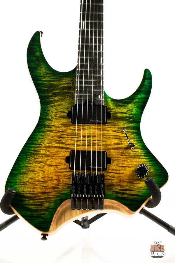 Acacia Medusa 6 - Image 12