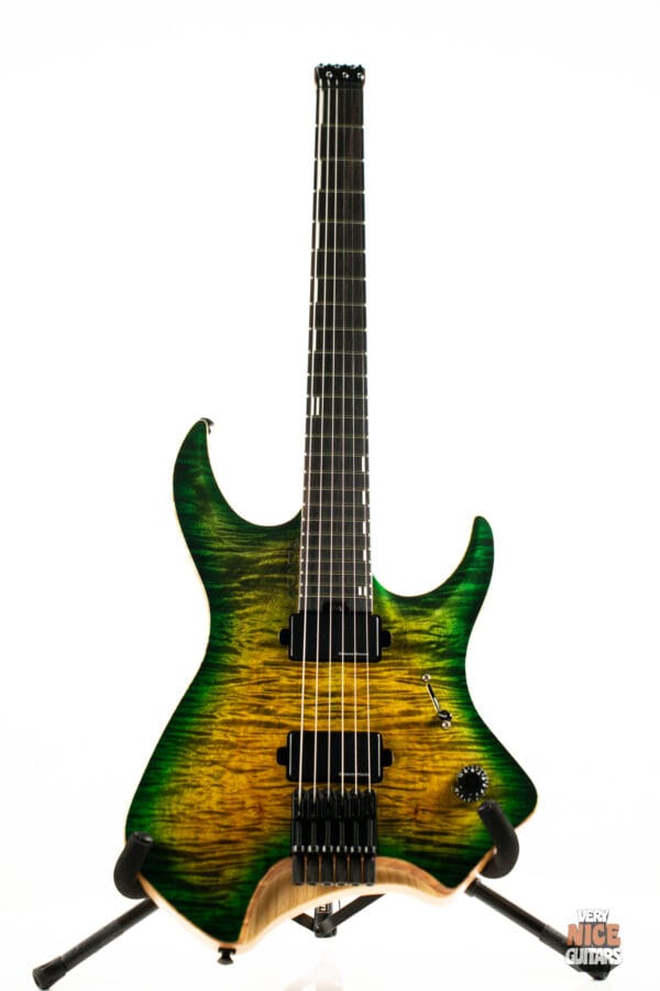 Acacia Medusa 6 - Image 14