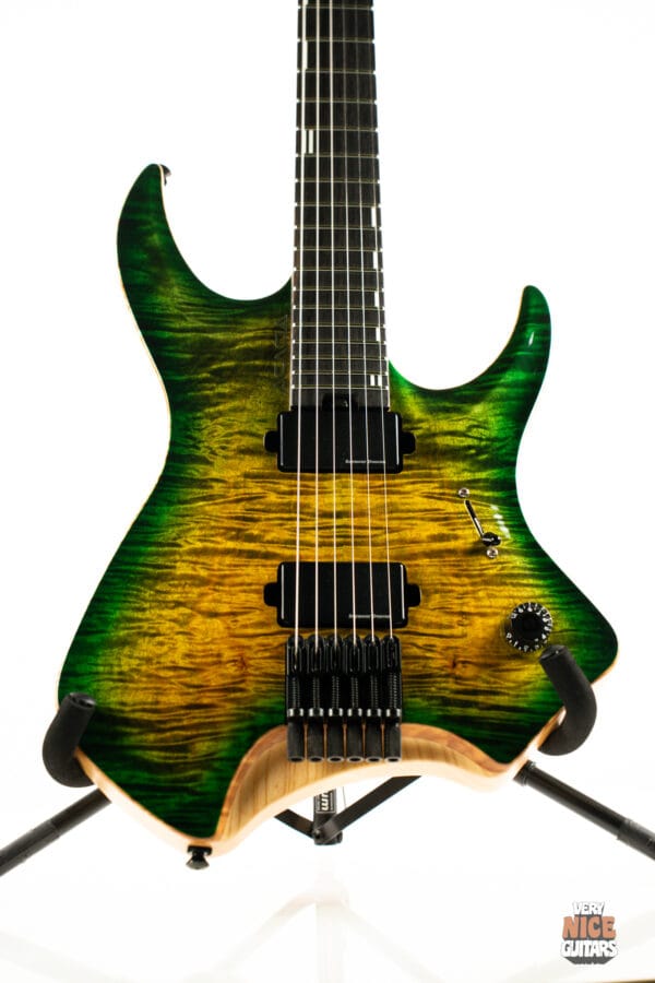 Acacia Medusa 6 - Image 15