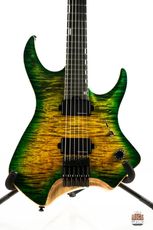 Acacia Medusa 6 - Image 16