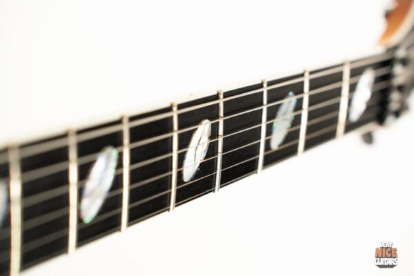 Caparison Dellinger Prominence Trans Spectrum Blue - Image 20