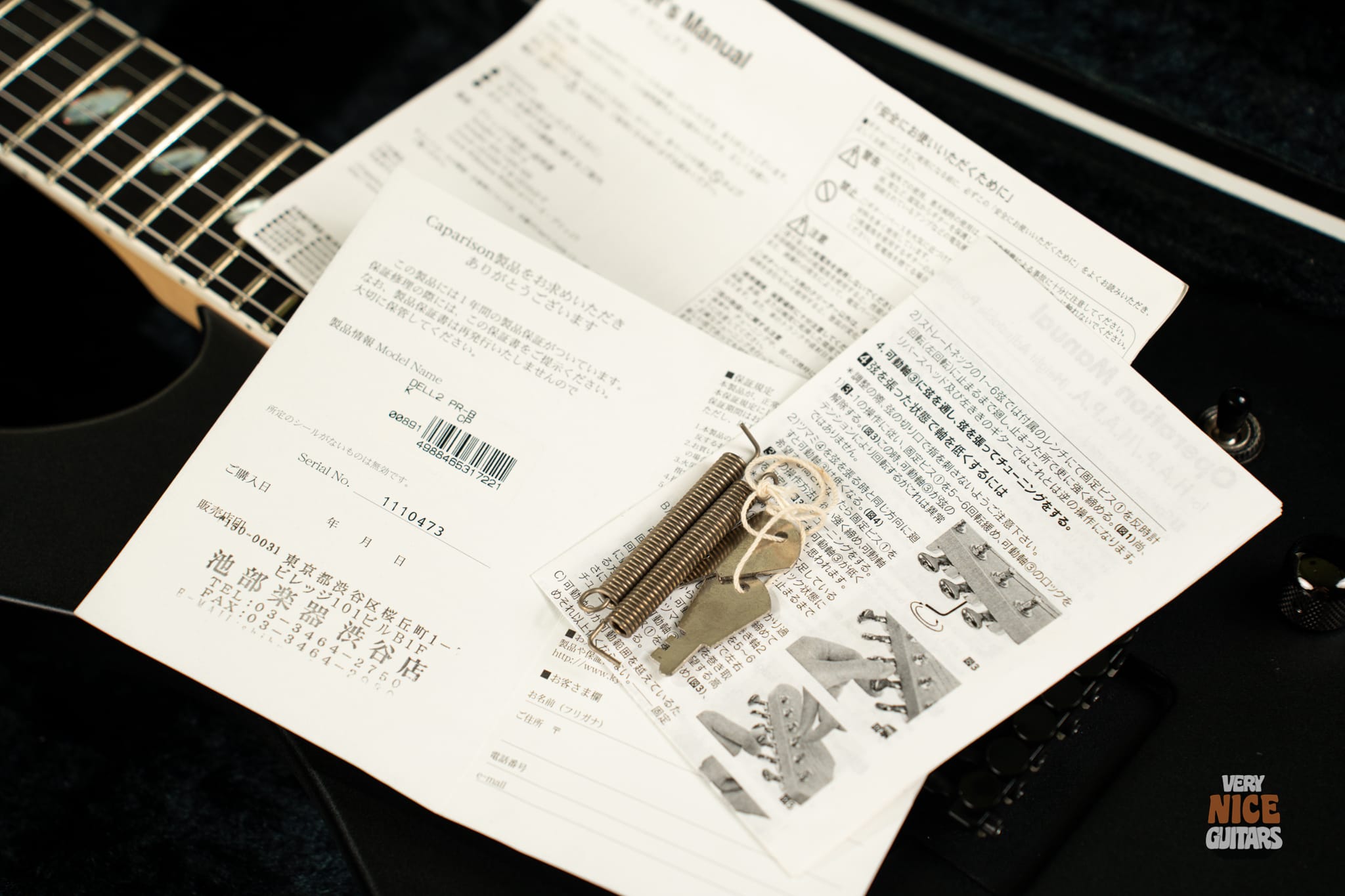 Caparison Dellinger II - Image 28