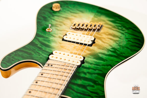 Mayones Regius 7 VF - Image 21